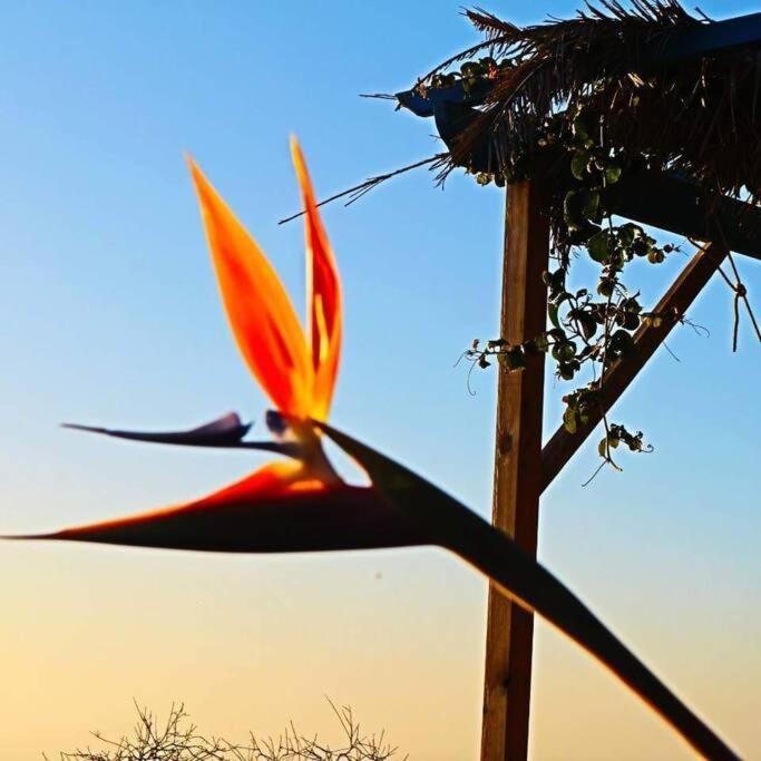 Willa Casita En El Campo Con Vista Al Oceano Tijarafe Zewnętrze zdjęcie