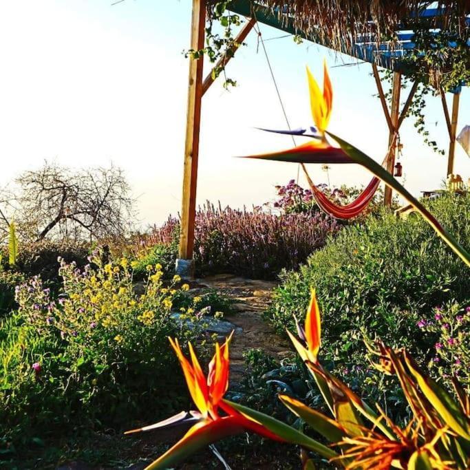 Willa Casita En El Campo Con Vista Al Oceano Tijarafe Zewnętrze zdjęcie